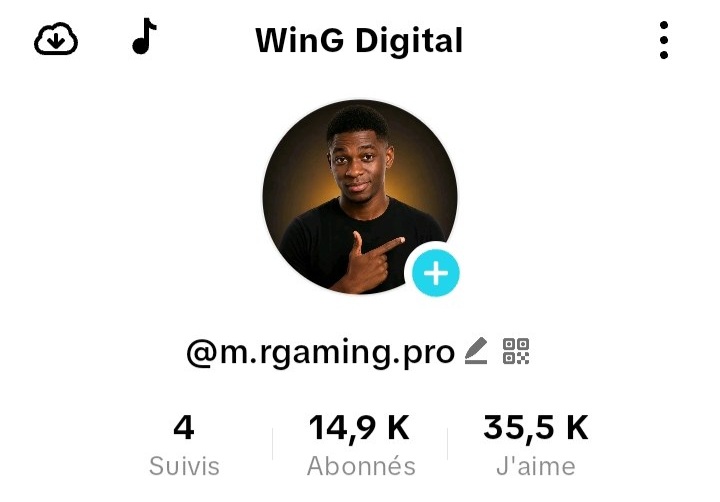 Aperçu du compte TikTok à gagner